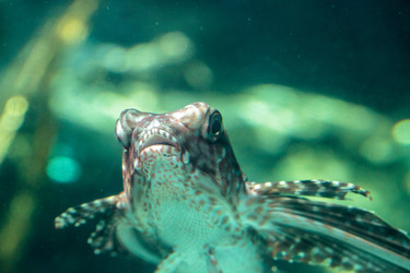 Similar image 20228462