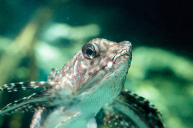 Similar image 20228491