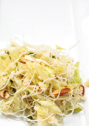 Similar image 20228481