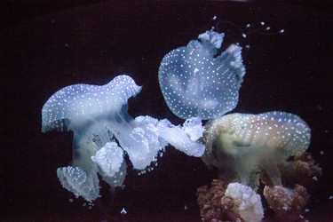 Similar image 20228484