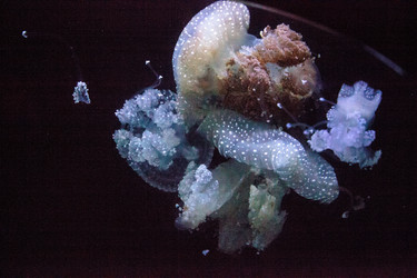 Similar image 20228490