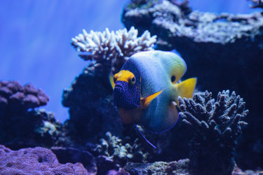 Similar image 20228532