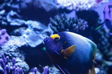 Similar image 20228545