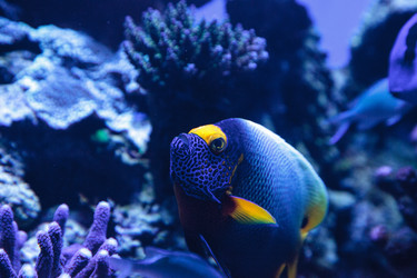 Similar image 20228557