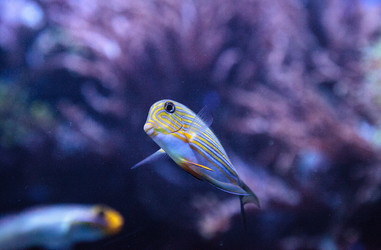 Similar image 20228570