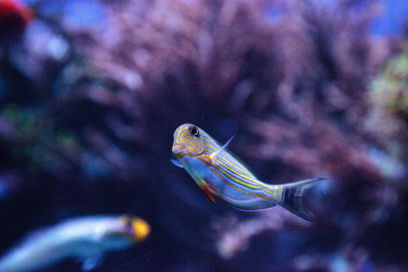 Similar image 20228582