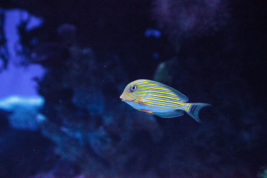 Similar image 20228576