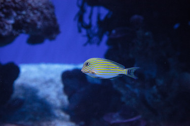 Similar image 20228586