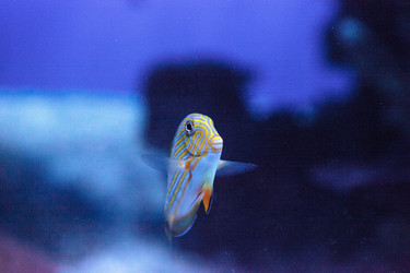 Similar image 20228599