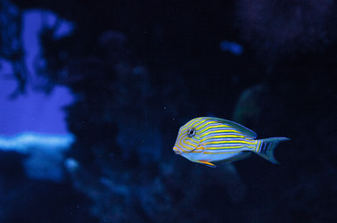 Similar image 20228612