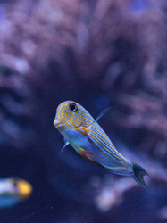 Similar image 20228623