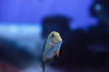 Similar image 20228593