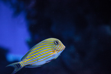 Similar image 20228595