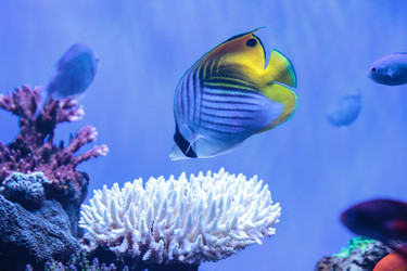 Similar image 20228264