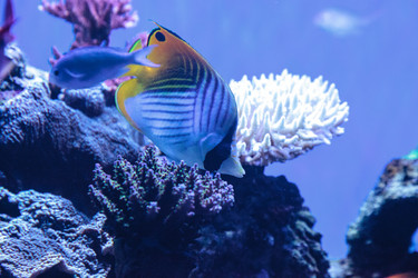 Similar image 20228270