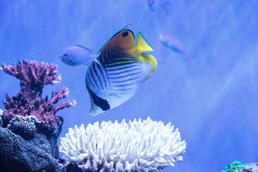 Similar image 20228282