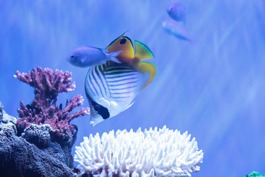 Similar image 20228296