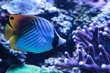 Similar image 20228304