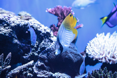 Similar image 20228305