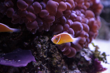 Similar image 20228309