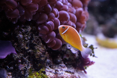 Similar image 20228284