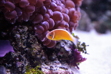 Similar image 20228285