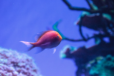 Similar image 20228286