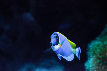 Similar image 20228308