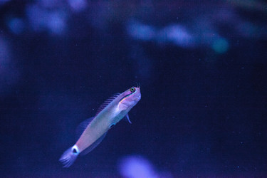 Similar image 20228359