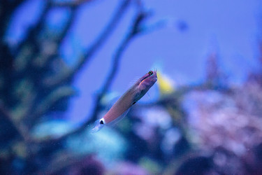 Similar image 20228371