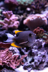 Similar image 20228322