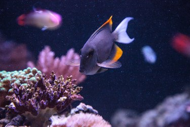 Similar image 20228335