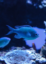 Similar image 20228338