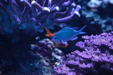 Similar image 20228342