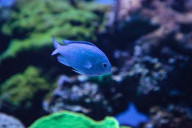 Similar image 20228386