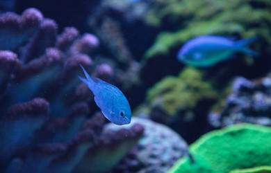 Similar image 20228408