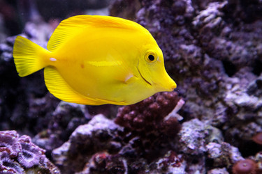 Similar image 20228421