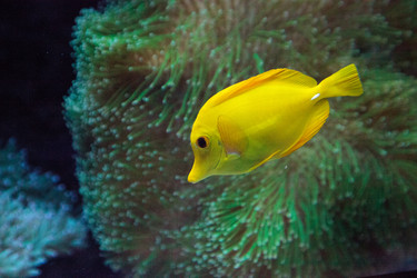 Similar image 20228410