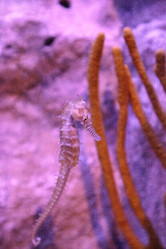 Similar image 20228419