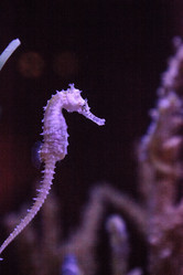 Similar image 20228424