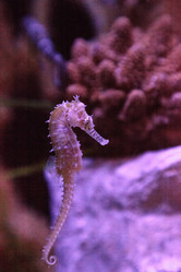 Similar image 20228425