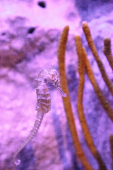 Similar image 20228435