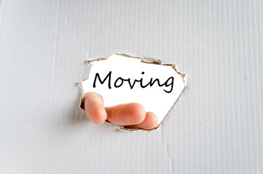 Similar image 20233431