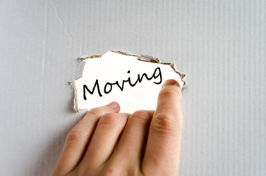 Similar image 20233712