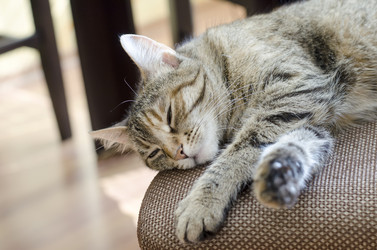 Similar image 20233157