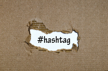 Similar image 20233374