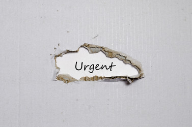 Similar image 20233964