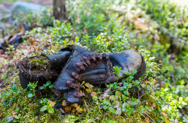 Similar image 20227083