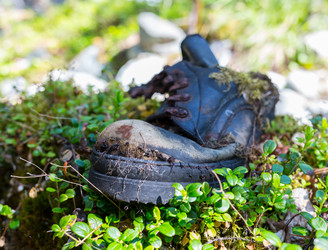 Similar image 20227097