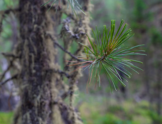 Similar image 20227200